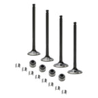 Intake Exhaust Valves for Polaris Ranger Magnum Scrambler Sportsman (400–500)