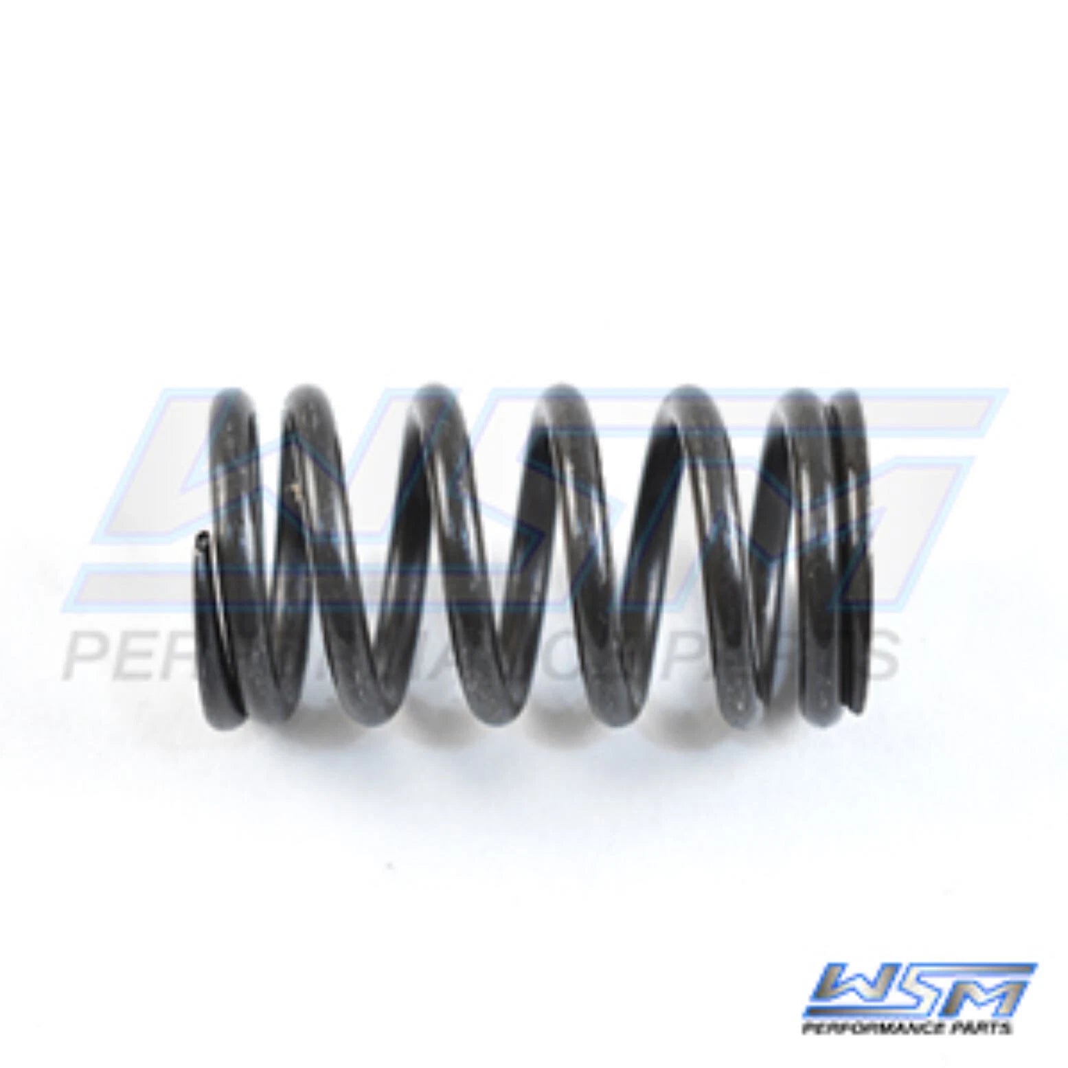 WSM Valve Spring for