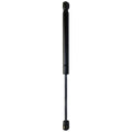 Hood Lift Supports for Acura TL