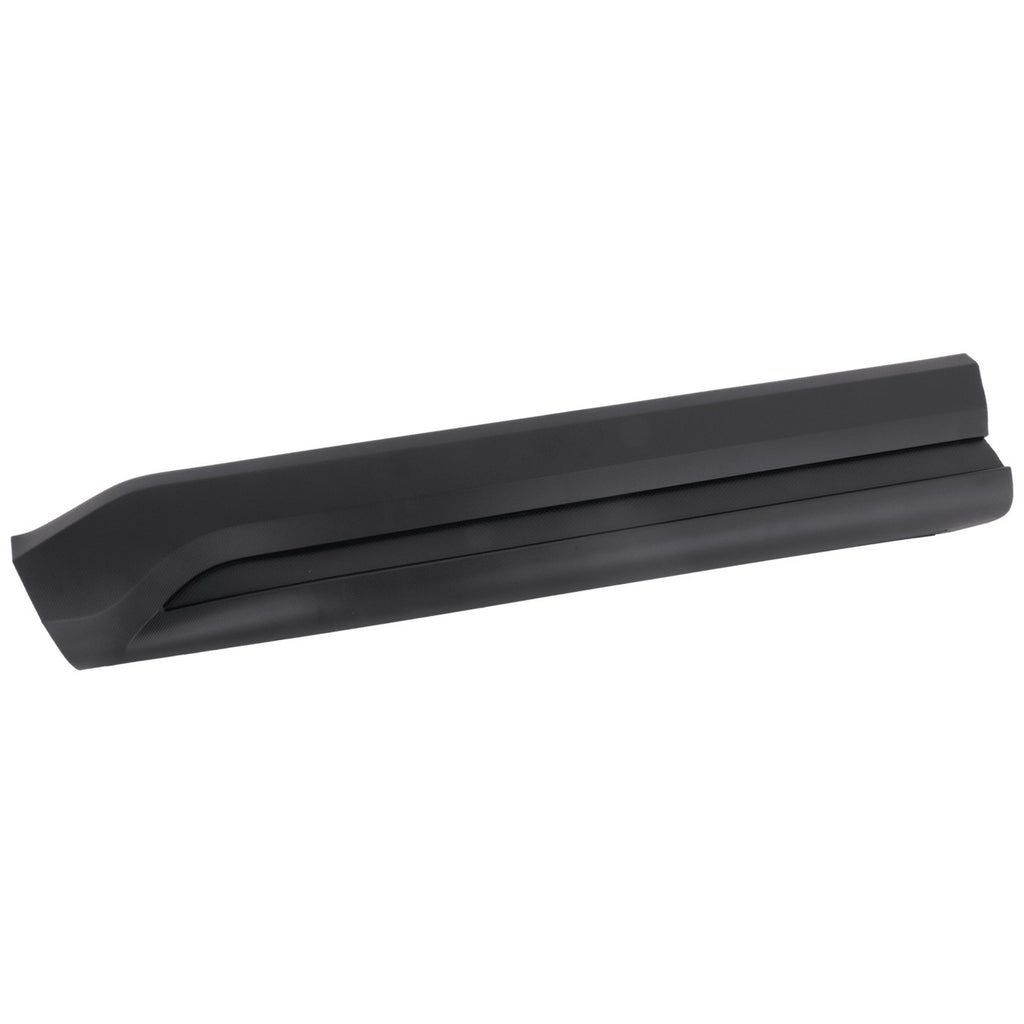 Set of 2 Door Molding and Beltlines for Front Driver & Passenger Side