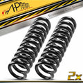 2X Rear Coil Springs for Chrysler 300, Dodge Magnum (2005–2008)