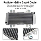 Radiator Guard for Kawasaki Ninja 300 EX300 (2013–2017)