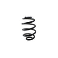 Lesjofors Rear Suspension Coil Spring for BMW E46 323ci 325ci 325i 330Ci (1998–2006)