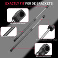 2 Front Hood Lift Supports for Chrysler 200 (2011–2014)