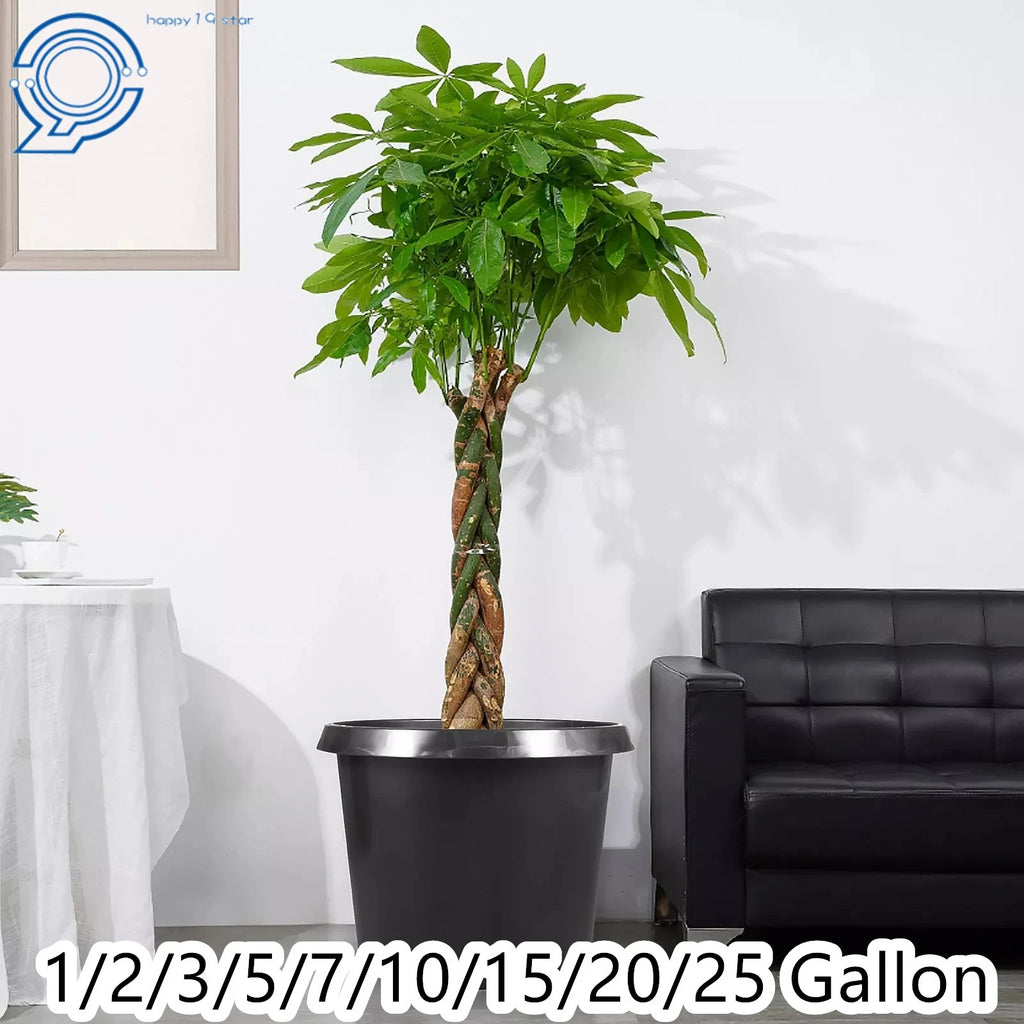 Set of 10 Gallon Nursery Pots for Garden Planting (Plastic)