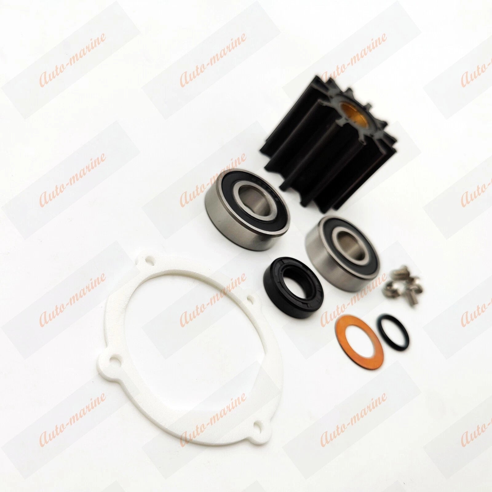 Sea Water Pump Repair Rebuild Kit for Johnson F6B-9 (Fits 10-24232-1, 09-812B-1)