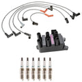 Set of 2 Ignition Coils & Denso Platinum TT Spark Plugs for Sportage