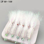 Set of 5 Fly Fishing Hooks 2g for Various Sizes (4/6/8/10/12/14)