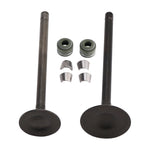 Valve Seal Kit for Honda CG125 (156FMI)