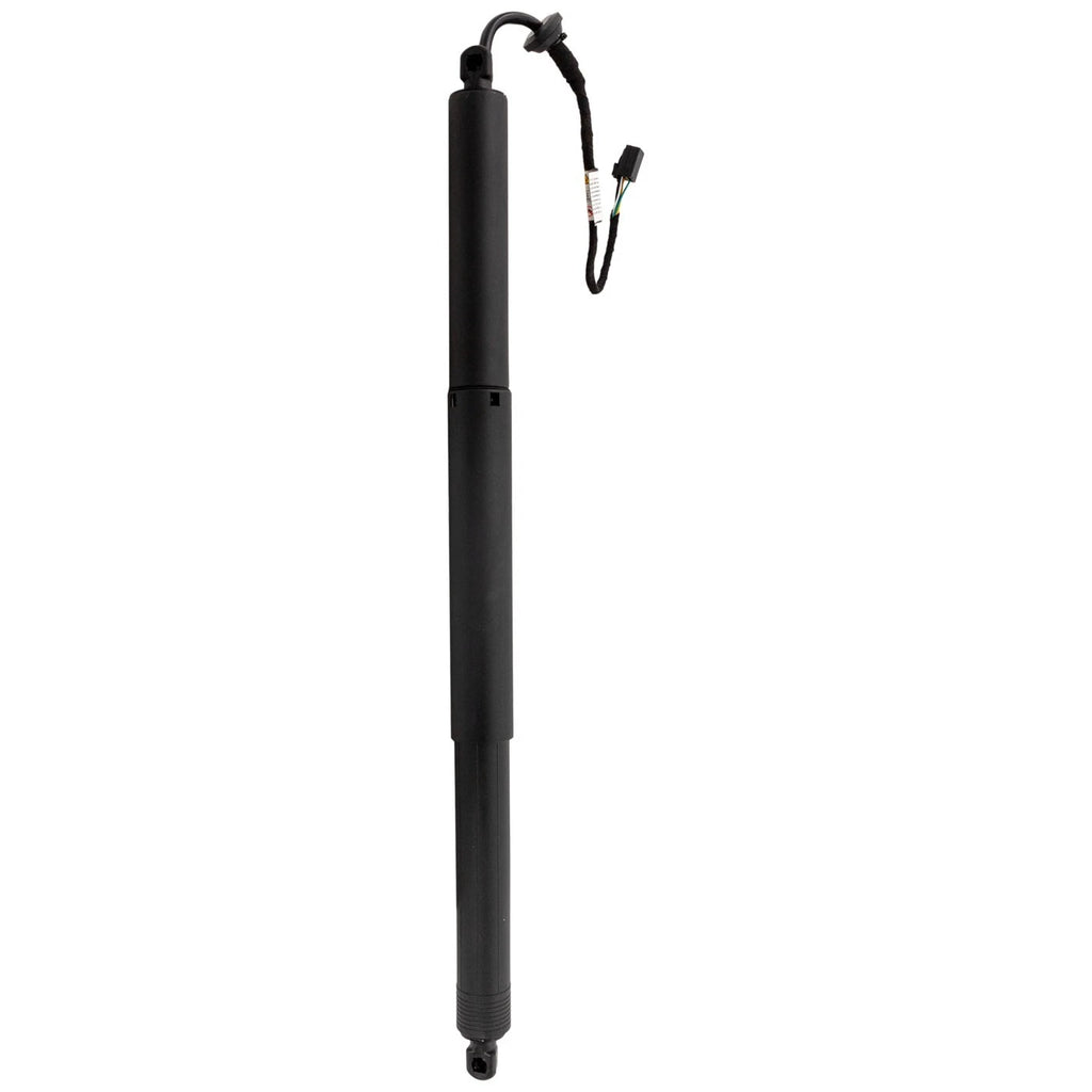 Liftgate Lift Supports for Chevy Terrain (2010–2017)