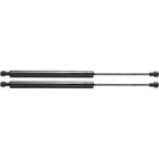 Lift Support for Toyota Matrix (2003–2008) Liftgate Driver & Passenger Side