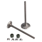 Valve Set Inlet & Exhaust for CG150 ATV Quad Pit Bike Dirt Bike Buggy (150CC)