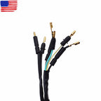 Kill Switch for Honda TRX300EX Sportrax (1993-2004)