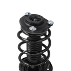 Front Strut Coil Spring for Nissan Sentra (2014–2019)