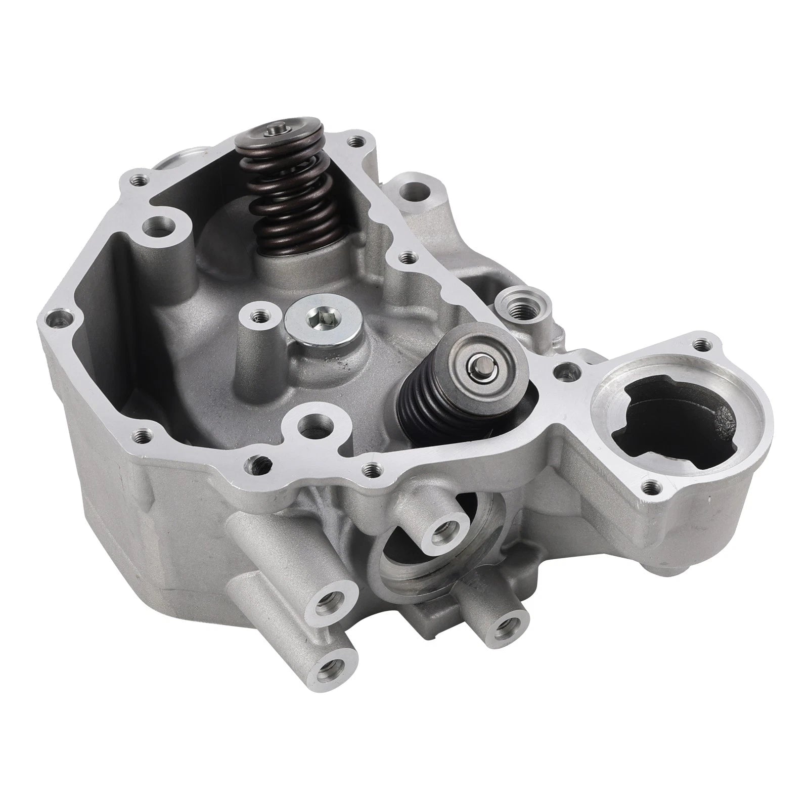 Cylinder Head Valves Kit for Honda TRX420 TRX500 SXS500 (2009–2024) 12200-HP7-A01