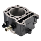 Top End Kit with Cylinder, Piston, Gaskets for Yamaha YP125R Majesty (1998–2009)
