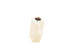 Engine Coolant Reservoir Expansion Tank for Mazda Protege 323 (1995–2003)