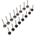 16pc Engine Intake Exhaust Valves for Renault Clio MK III (2005–2012)