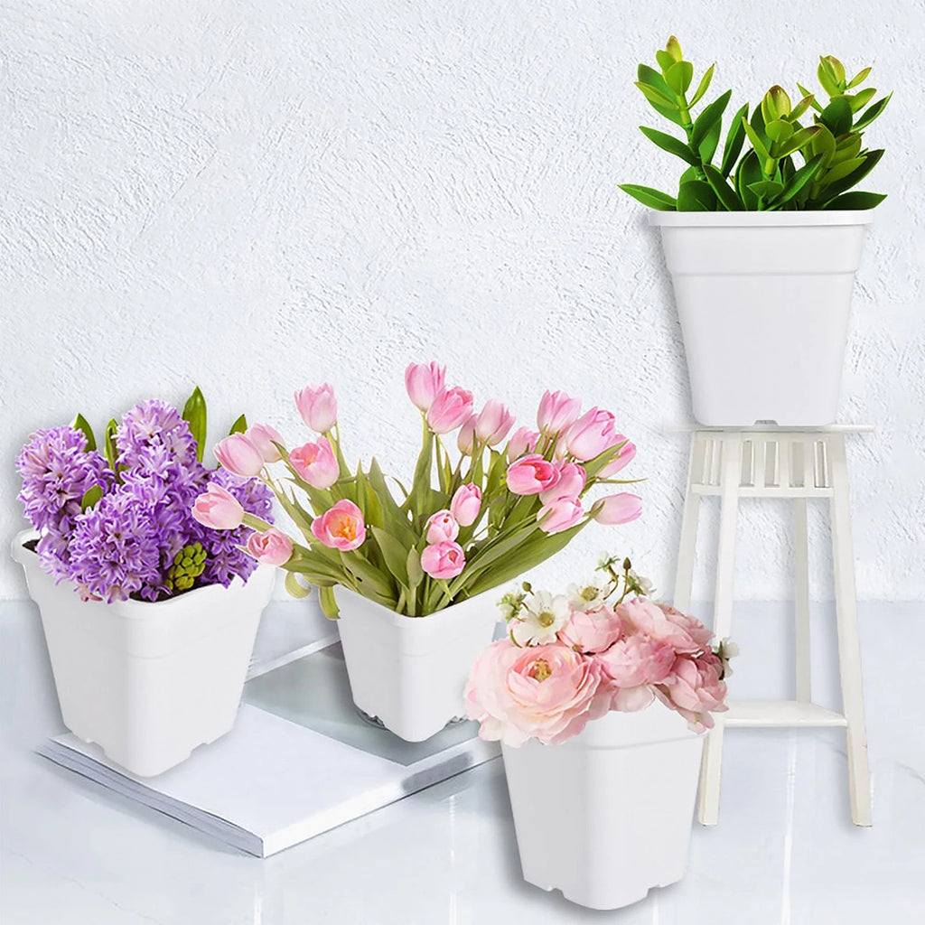 Set of 5 Plastic Nursery Grow Pots for Bonsai Plants