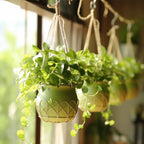 S Shaped Hooks for Hanging Plants - Set of 4 Black Metal Hangers