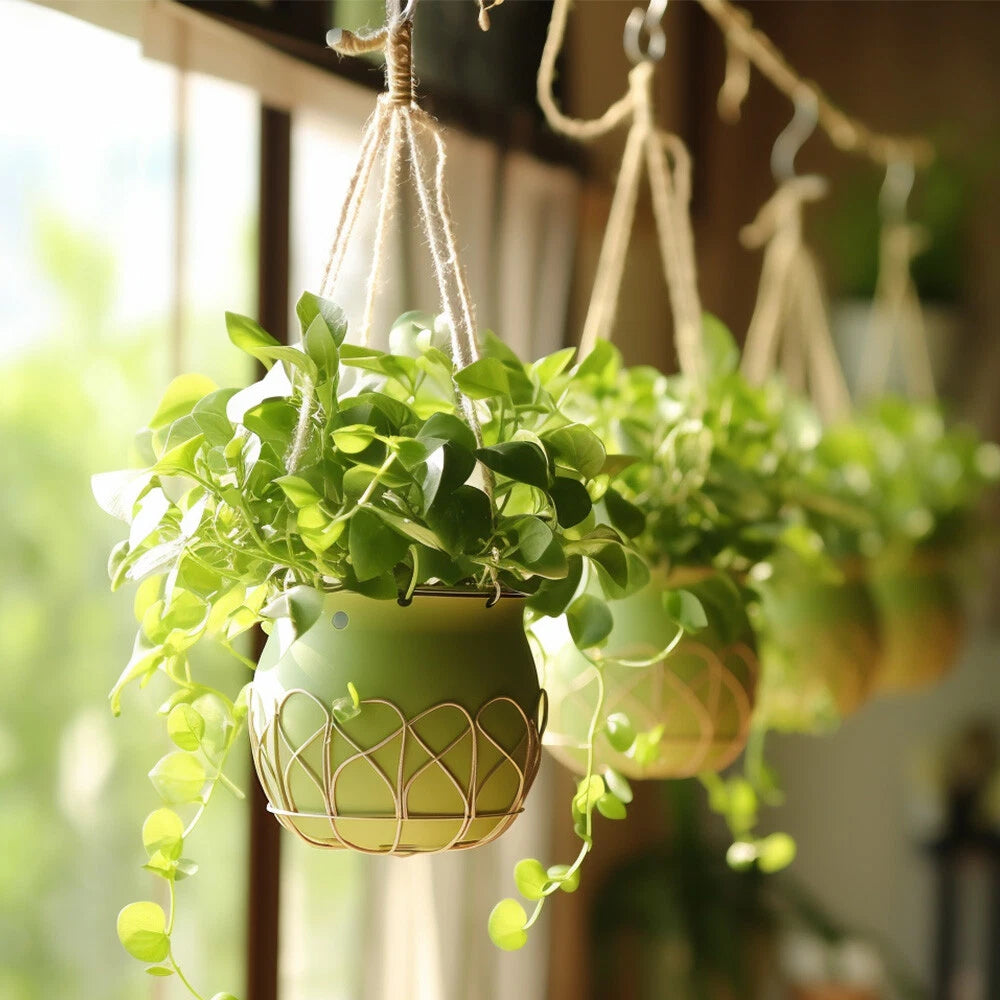 S Shaped Hooks for Hanging Plants - Set of 4 Black Metal Hangers
