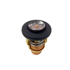 Thermostat for Yamaha 115 150 200 225 250HP 2-Stroke Outboard (1990–2023) 6E5-12411-30-00