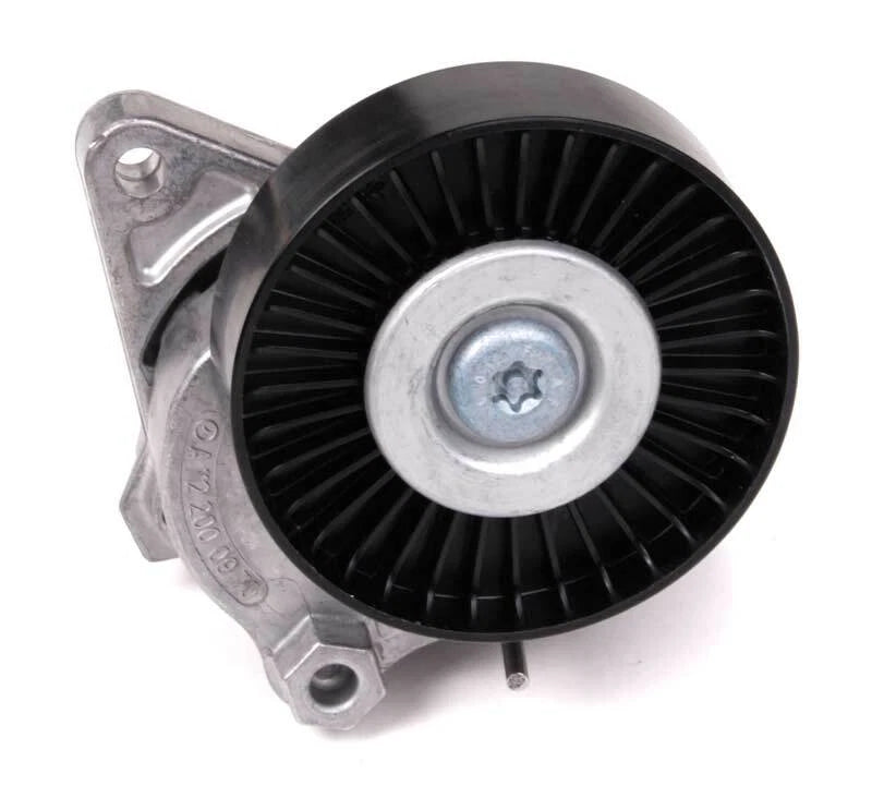 Serpentine Belt Tensioner for Mercedes (1122000970)