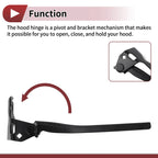 Hood Hinges for Honda Accord, Crosstour (2008–2012) - 60170TA0A00ZZ, 1 Pair