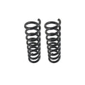 Set of 2 Front Coil Springs for Mercedes-Benz W210 E300 E320 (1996–2002)