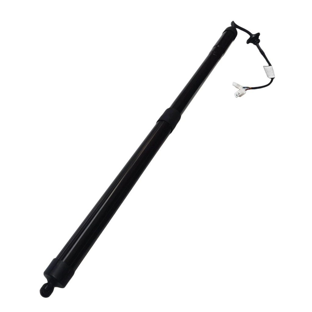 Lift Support for Honda CR-V (2017–2020)