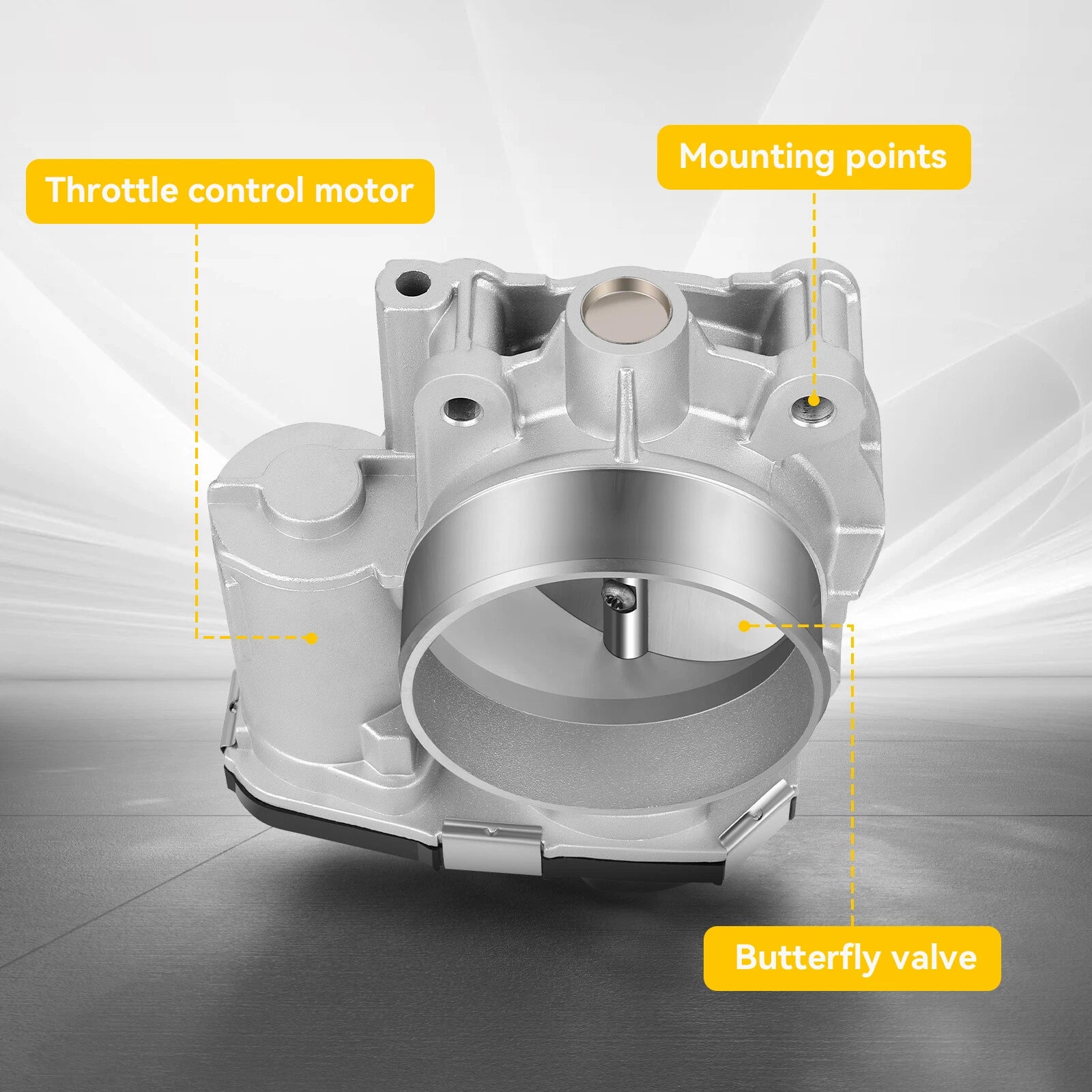 Throttle Body for Cadillac STS (2008–2010)