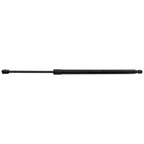 Set of 2 Liftgate Struts for Ford Escape