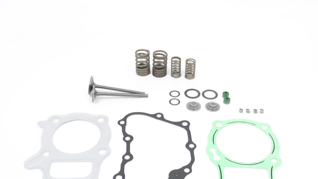 Valve Kit for Honda Recon TRX250 2x4 (2002-2018)