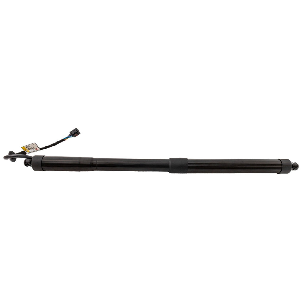 Liftgate Lift Supports for Hyundai Santa Fe XL
