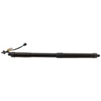Liftgate Lift Supports for Hyundai Santa Fe XL
