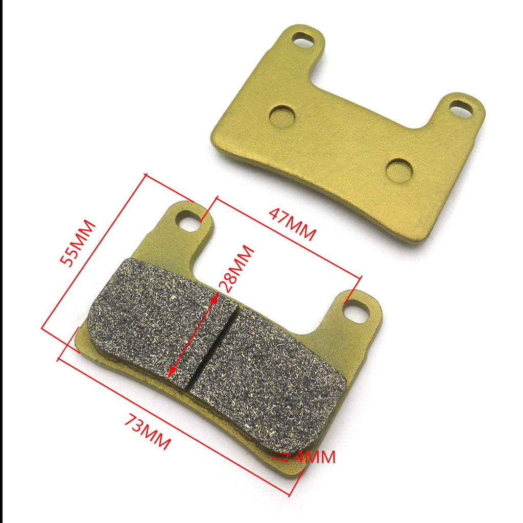 Set of 2 Brake Pads for BMW S1000R R1250 (2018–2020) TT724