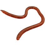 20pcs Artificial Earthworm Fishing Lures for Universal Use