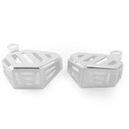 Brake Fluid Clutch Reservoir Guard for BMW R1200GS/ADV, RnineT (2014-2017)