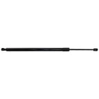 Set of 2 Liftgate Lift Supports for Hatchback (Driver & Passenger Side)