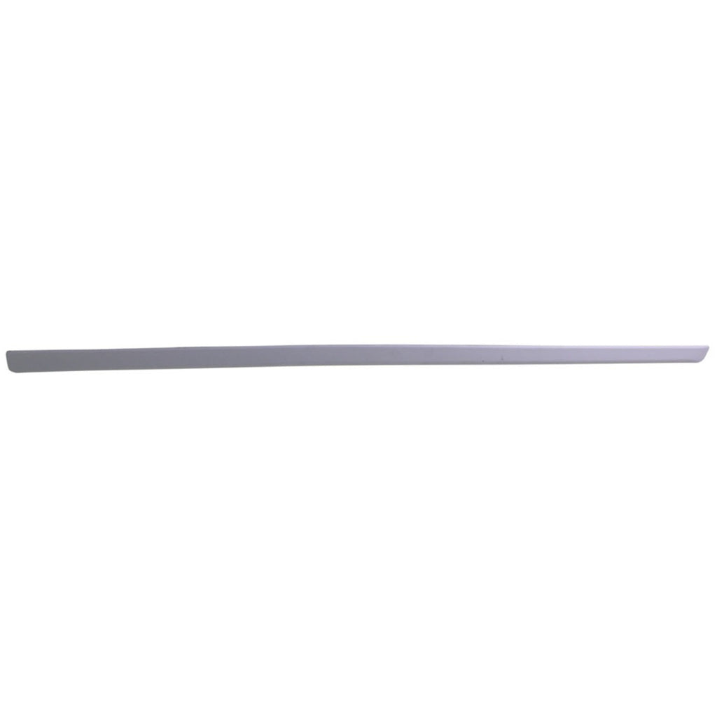 Door Molding for Dodge Grand Caravan (2005–2007)