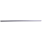 Door Molding for Dodge Grand Caravan (2005–2007)