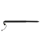 Hatch Lift Support for Ford Escape (2013–2019) CJ54S402A55AD
