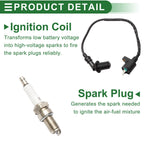 Set of 1 Ignition Coil for Honda CRF50F (2004–2013) No.A7TC