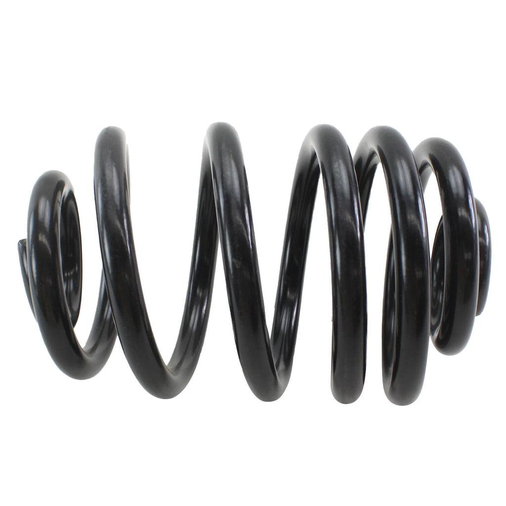 Lesjofors 4208487 Rear Coil Spring for BMW E46 M3 (2001–2006)