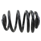 Lesjofors 4208487 Rear Coil Spring for BMW E46 M3 (2001–2006)