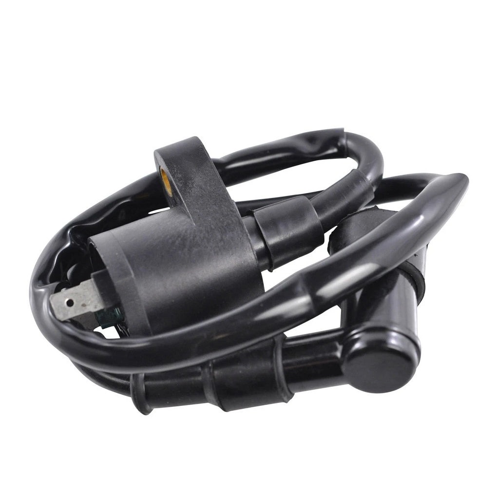 RM Stator External Ignition Coil with Spark Plug Cap for Offroad Vehicles