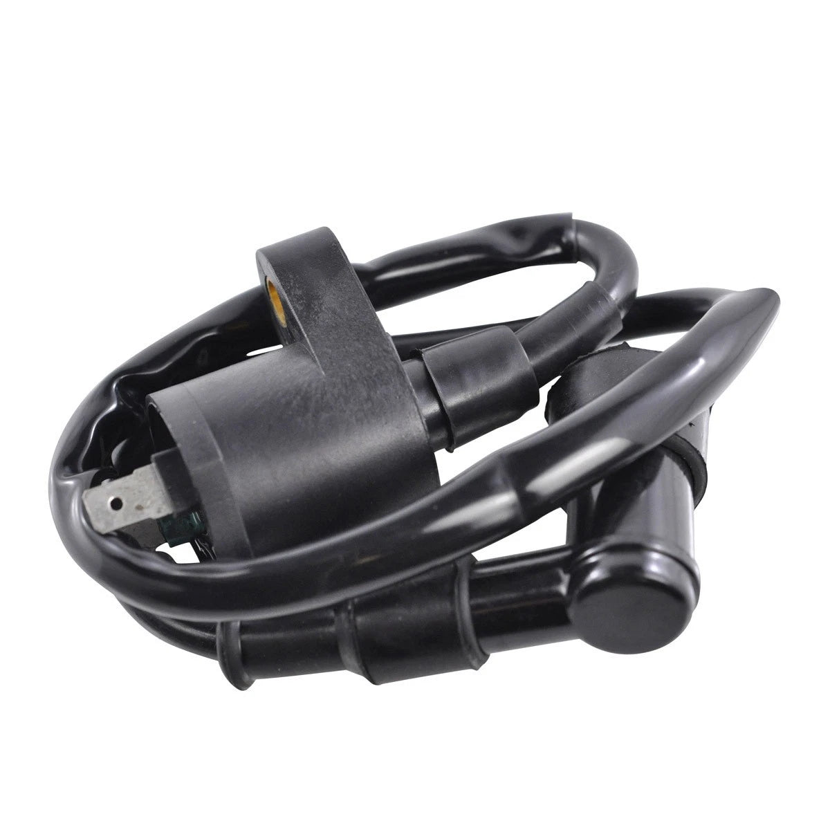 RM Stator External Ignition Coil with Spark Plug Cap for Offroad Vehicles