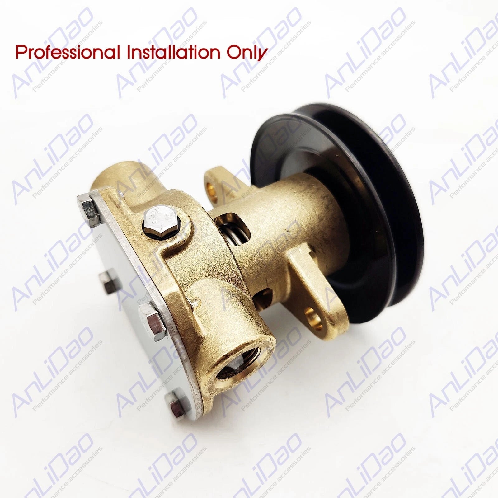 Replacement Water Pump with Pulley for Sherwood Kohler (G907P, 344371, 344089)