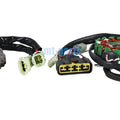 Stator Coil, Regulator Rectifier, Gasket for Barossa ATV RAM 503 / Canyon 500 520