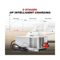 55 Amp RV Power Converter for Lead-Acid Battery WF-9855 Series